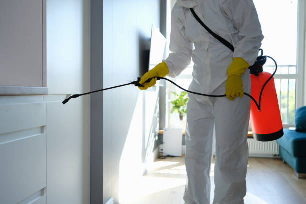 Best Certified Mold Removal  in Shady Hills, FL